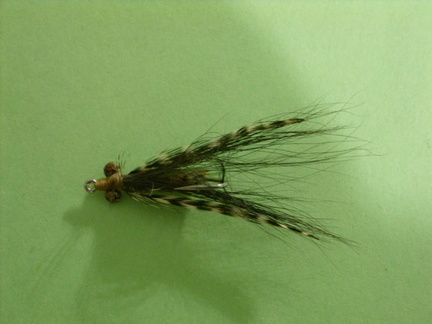 Bonefish Crazy Charlie type of fly. They seem to like the grizzly hackle. So I use it often.
