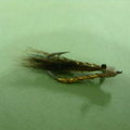 bonefish fly. Nothing special just squirel tail and a small bead head. But sometimes you need a fly that lands like a feather if