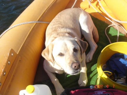 Tika relaxes in the boat
