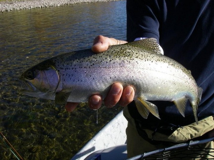Close up of one of Mike's rainbows