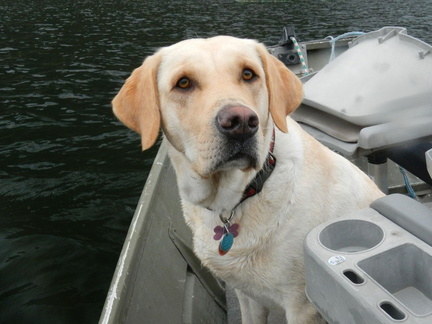 Sadie's first boat ride