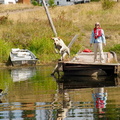 Sadie jumping off dock at Tunkwa