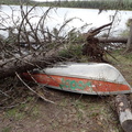 Boat with tree on it - Zipperlip Lake