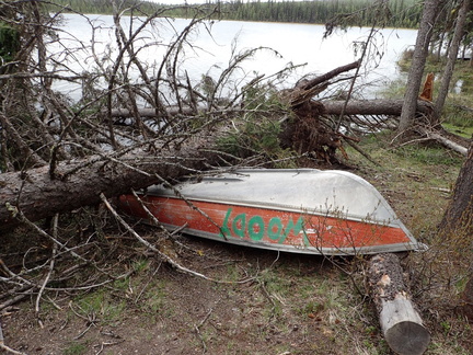 Boat with tree on it - Zipperlip Lake