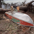 Boat with tree on it - Zipperlip Lake (1)