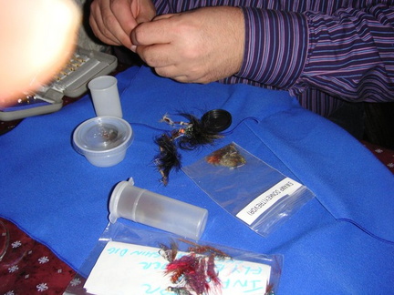 Sorting flies for the draw