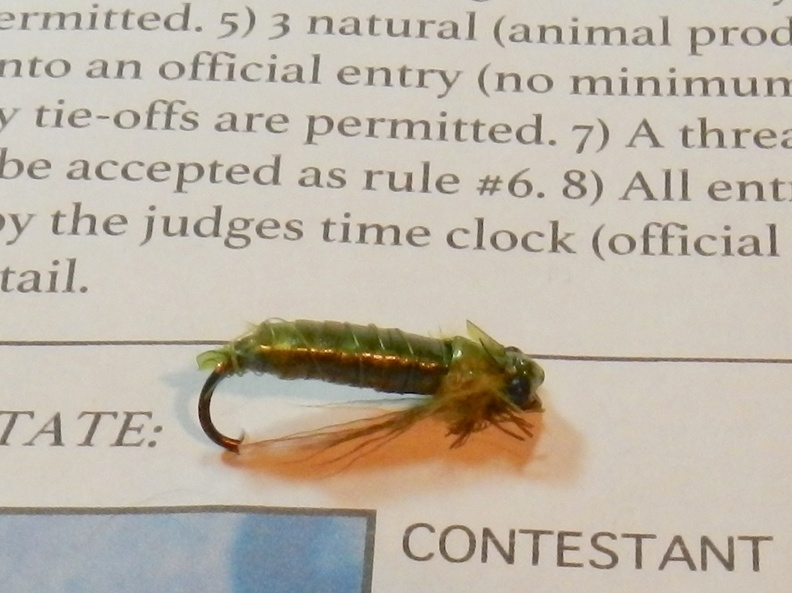 Salmon_Lake_Fish_In_tying_contest_fly_1.jpg