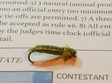 Salmon Lake Fish-In tying contest fly 1