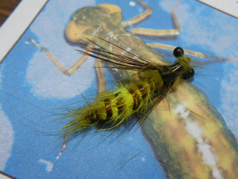 Salmon_Lake_Fish_In_tying_contest_fly_2.jpg
