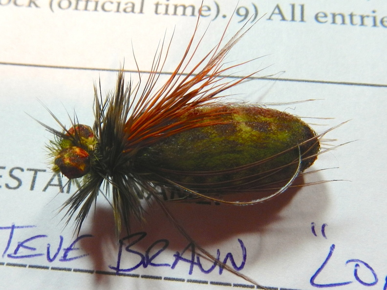 Salmon_Lake_Fish_In_tying_contest_fly_5.jpg