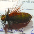 Salmon Lake Fish-In tying contest fly 5