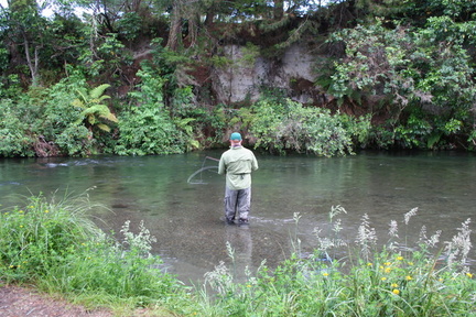 Waitahanu River Casting