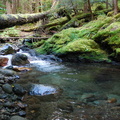 Steep Mountain Creek 1