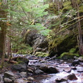 Steep Mountain Creek 3