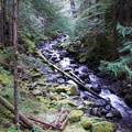 Steep Mountain Creek 2