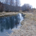Spring Creek 2