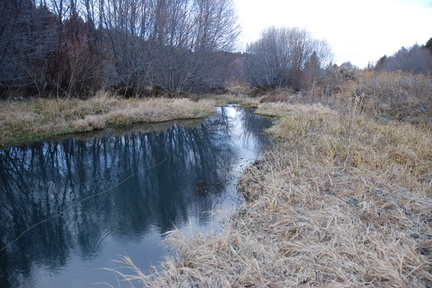 Spring Creek 2