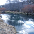 Spring Creek 3