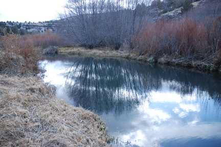 Spring Creek 3