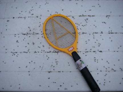 Mosquito kill!
