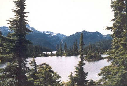 Callaghan lake