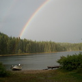 Cameron lake rainbow