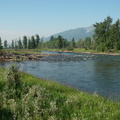 Elk river campsite view downstream
