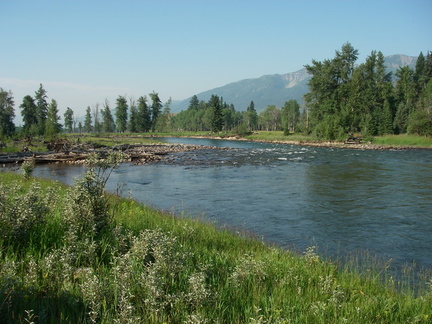 Elk river campsite view downstream