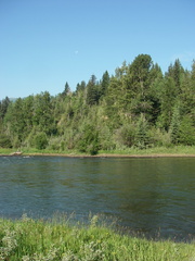Elk river campsite view across stream