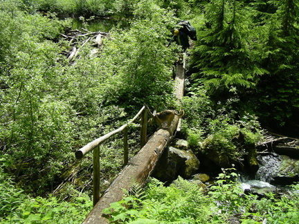 Many log bridge crossings up the trail like this one.