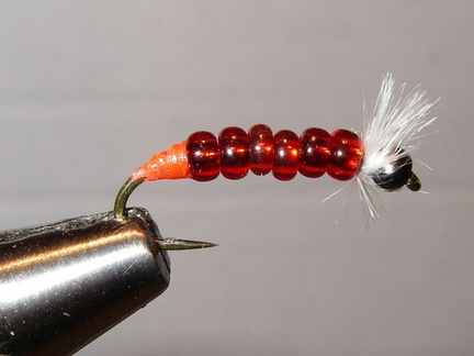 Red bead bloodworm