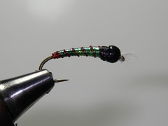 Lime green chironomid