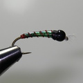 Lime green chironomid
