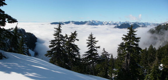 Looking West over Seymour river valley towards Grouse Mountain.