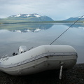 Chaunigan lake caddis all over my boat