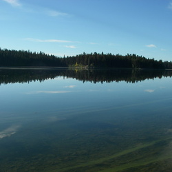 Roche lake
