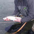 2011-12-20 Fishing 001 Crop
