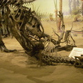 Another exibit at Royal Tyrrell Museum.