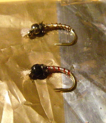 Demster's Bread bag chironomids