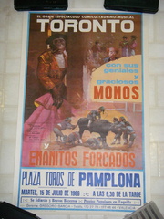 Pamplona tourista poster?