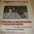 Pamplona "Running of the bulls" local poster.