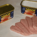 Spam.gif