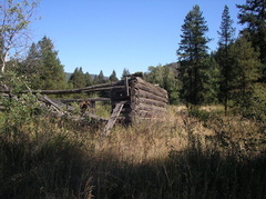 Cabin remains