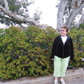 Gramma in front of Jade plant, San Diego.jpg