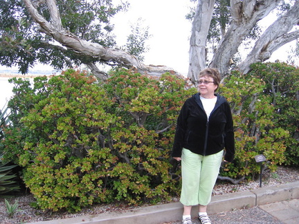 Gramma in front of Jade plant, San Diego.jpg