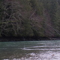 Lower Lillooet River