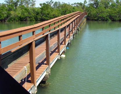 Dock in a Mangrove Bay