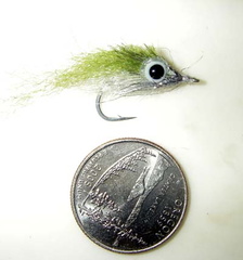 EP Micro Minnow compaired to a dime