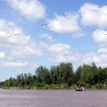 Pelicans at the confluence