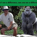 I can't see a difference, can you?